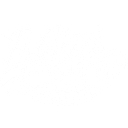 Bion C. Tolman Construction logo